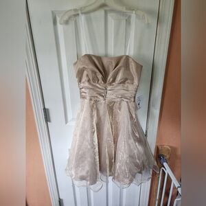 NWT David's Bridal, Strapless, Cream, Short, Tulle, Dress, Size 5/6